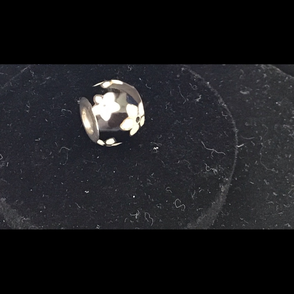 Pandora charm